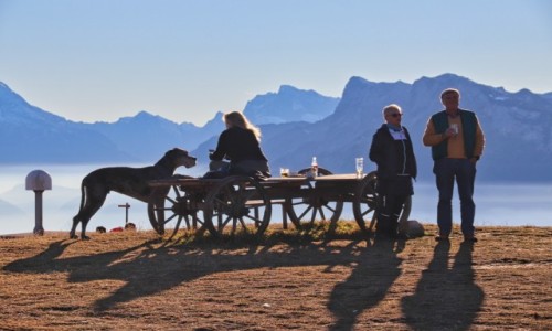 Zdjecie AUSTRIA / Tyrol / Salzburg / Piknik 