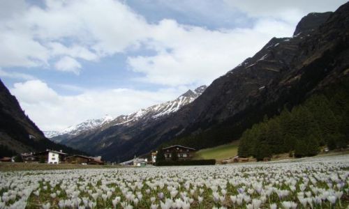 Zdjecie AUSTRIA / Tyrol / Dolina Pitztal / wiosna