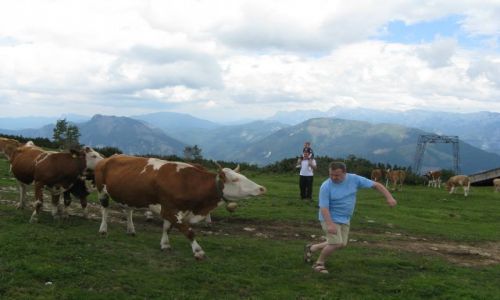 Zdjecie AUSTRIA / Feuerkogel / na gorce / moj bohater