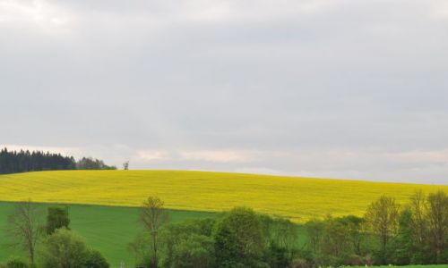Zdjęcie AUSTRIA / -oberösteraich / jak kazde pole / wsi piekna anielska