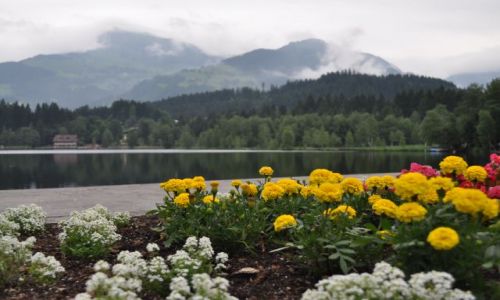 Zdjęcie AUSTRIA / Tyrol / Kirchberg / jeziorko-na bogato