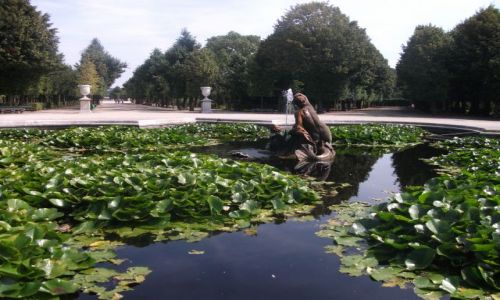 Zdjęcie AUSTRIA / - / Vienna / Fountain at Schonbrunn palace