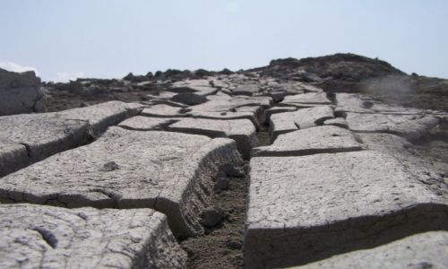 Zdjecie AZERBEJDAN / Qobustan / pustynia / widziane z pozycji mrwki pustynnej