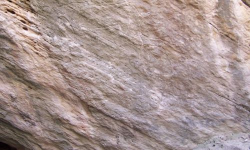 Zdjcie AZERBEJDAN / Gobustan / Gobustan / Byk Naskalny