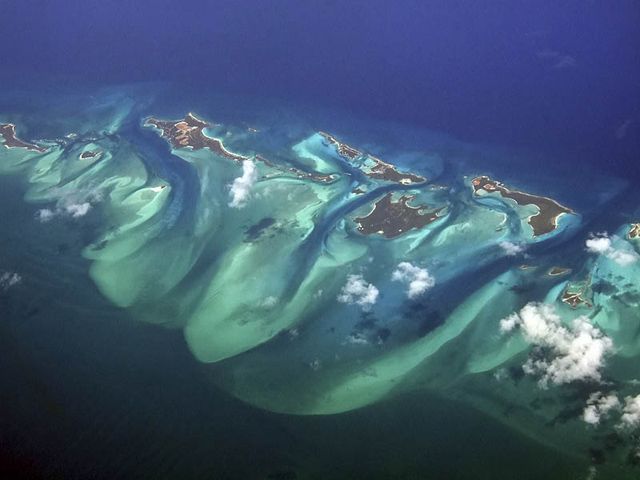 Zdjęcia: Allan's Cay, Bahamy Srodkowe, Czy to juz Przystanek Raj ?, BAHAMY Zdjęcia: Allan's Cay, Bahamy Srodkowe, Czy to juz Przystanek Raj ?, BAHAMY