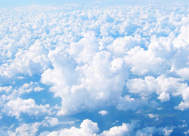 Zdjęcia: MIĘDZY W-MI BAHAMA A ATLANTĄ, OCEAN ATLANTYCKI, NA PIERZYNCE, BAHAMY Zdjęcia: MIĘDZY W-MI BAHAMA A ATLANTĄ, OCEAN ATLANTYCKI, NA PIERZYNCE, BAHAMY