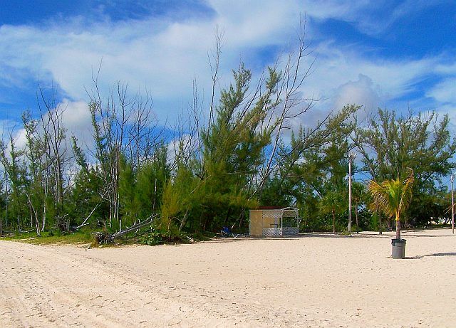 Zdjęcia: FREEPORT, OCEAN ATLANTYCKI, WIETRZYCHO, BAHAMY Zdjęcia: FREEPORT, OCEAN ATLANTYCKI, WIETRZYCHO, BAHAMY