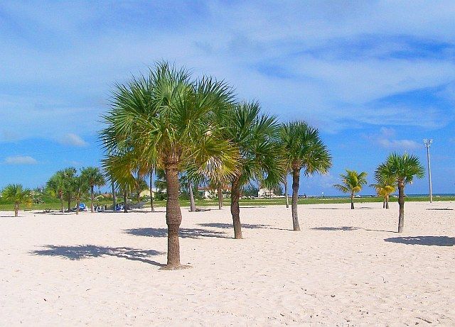 Zdjęcia: FREEPORT, OCEAN ATLANTYCKI, CIEPLUCHO, BAHAMY Zdjęcia: FREEPORT, OCEAN ATLANTYCKI, CIEPLUCHO, BAHAMY