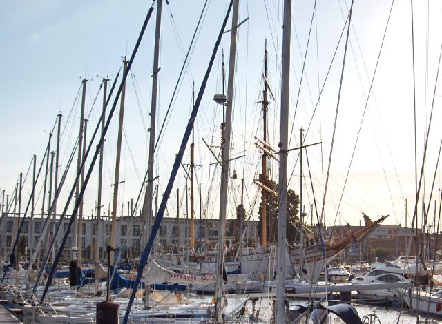 Zdjęcia: Royal Yacht Club, Ostenda, Mercator w doborowym towarzystwie !, BELGIA Zdjęcia: Royal Yacht Club, Ostenda, Mercator w doborowym towarzystwie !, BELGIA