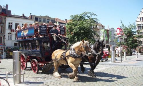 Zdjcie BELGIA / Polnocna Belgia / miasto Antwerpia / Antwerpia