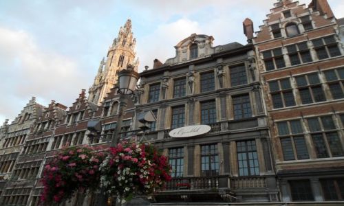 Zdjecie BELGIA / - / Antwerpia / Antwerpia