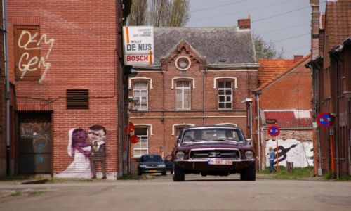 Zdjcie BELGIA / - / Doel / Mustang i moda para