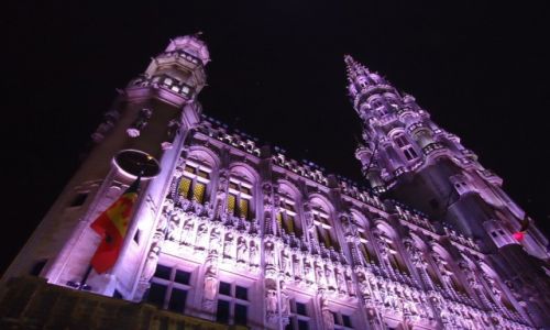 Zdjcie BELGIA / Bruksela / Bruksela / Bruksela noc (4)