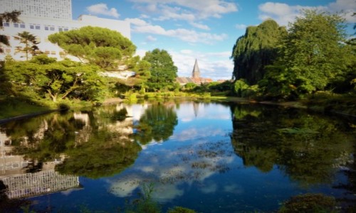 Zdjęcie BELGIA / Flandria Wschodnia / Gent / Gent