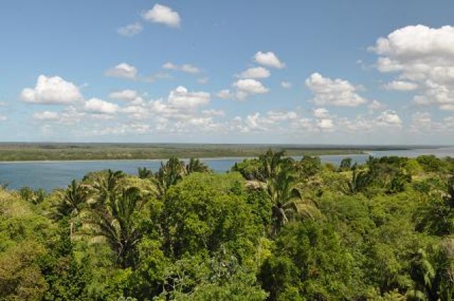 Zdjęcia: Lamanai, Orange Walk, Lasy tropikalne Belize, BELIZE Zdjęcia: Lamanai, Orange Walk, Lasy tropikalne Belize, BELIZE