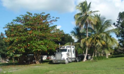 Zdjecie BELIZE / - / okolice Orange Walk / Parking przed domem