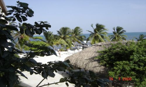 BELIZE / Belize / Belize / Palmowe widoki