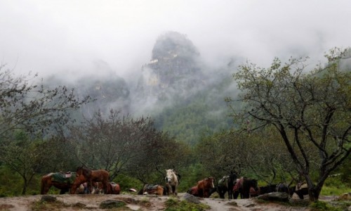 Zdjecie BHUTAN / Paro  / Taktsang Monastery / Tygrysie Gniazdo, najsawniejszy klasztor w Bhutanie