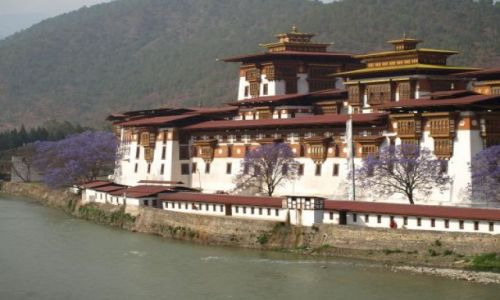 Zdjęcie BHUTAN / brak / Punakha / Klaszto w Punakha - Punkha Dzong