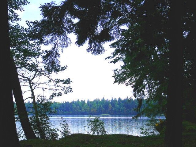 Zdjęcia: jezioro ¦witeĽ, Nowogródzki, nad ¦witezi±, BIAłORU¶ Zdjęcia: jezioro ¦witeĽ, Nowogródzki, nad ¦witezi±, BIAłORU¶