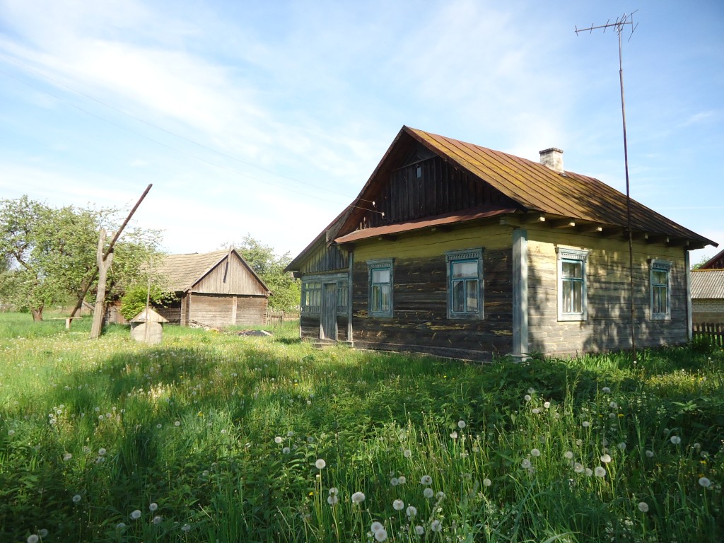 Zdjęcia: Okolice Janowa Poleskiego, Obwód brzeski / Polesie, Polesia czar (4)...., BIAłORU¶ Zdjęcia: Okolice Janowa Poleskiego, Obwód brzeski / Polesie, Polesia czar (4)...., BIAłORU¶