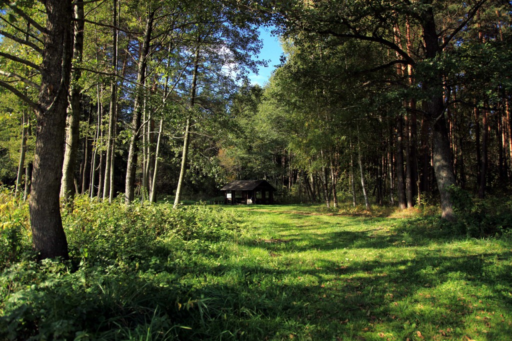 Zdjęcia: Brasław, Witebsk, Mały domek, BIAłORU¶ Zdjęcia: Brasław, Witebsk, Mały domek, BIAłORU¶