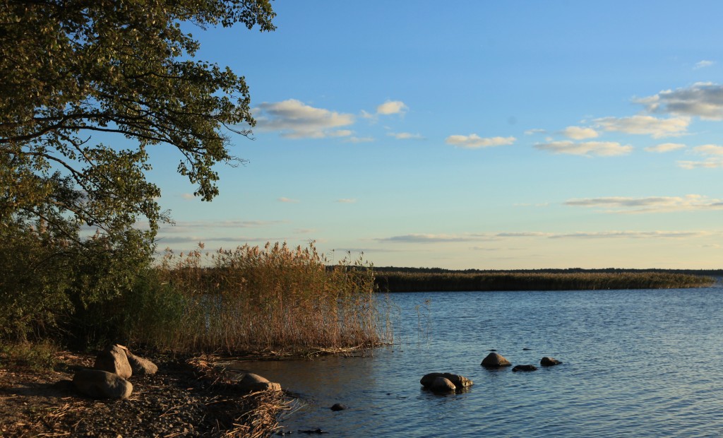 Zdjęcia: Brasław, Witebsk, Nad jeziorem, BIAłORU¶ Zdjęcia: Brasław, Witebsk, Nad jeziorem, BIAłORU¶