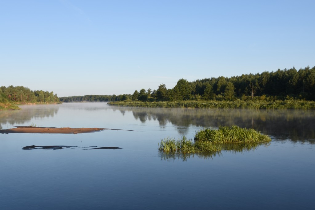 Zdjęcia: kilkadziesiąt kilometrów od Lubczy, obwód grodzieński, Ranek nad Niemnem, BIAłORUś Zdjęcia: kilkadziesiąt kilometrów od Lubczy, obwód grodzieński, Ranek nad Niemnem, BIAłORUś