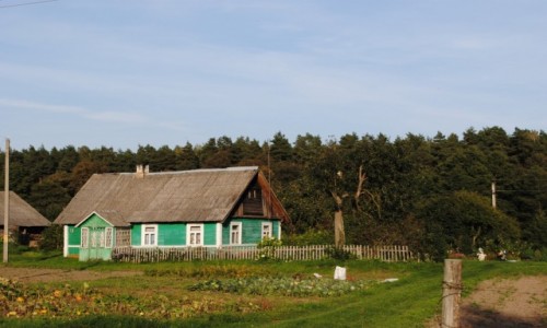 Zdjecie BIAORU / Grodzieszczyzna / Niemnowo / Sielski obrazek 