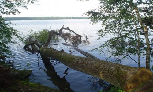 Zdjecie BIAORU / - / jezioro wite / nad witezi
