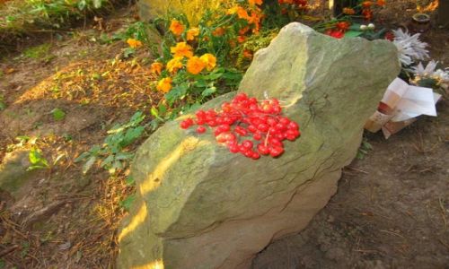 Zdjęcie BIAłORU¶ / Białoru¶ / Bohatyrowicze / kamień Cecylii