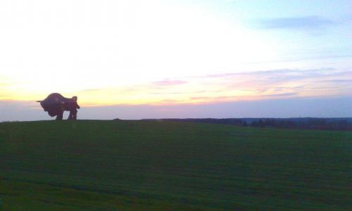 Zdjęcie BIAłORUś / grodzieński / okolice Zaosia /  krajobraz z makietą żubra