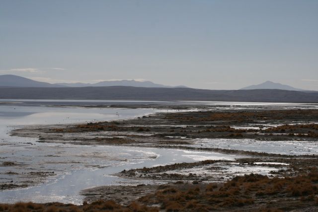 Zdjęcia: Solar, Altiplano, Laguna, BOLIWIA Zdjęcia: Solar, Altiplano, Laguna, BOLIWIA