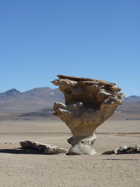 Zdjęcia: uyuni, Uyuni, Skalne drzewo, BOLIWIA Zdjęcia: uyuni, Uyuni, Skalne drzewo, BOLIWIA