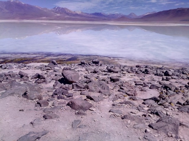 Zdj cia: Laguna Bianca 4350m.n.p.m., Reserva Nacional de Fauna Andina Eduardo Avaroa, CHILE I BOLIWIA - SAMOTNIE I INTENSYWNIE, BOLIWIA Zdj cia: Laguna Bianca 4350m.n.p.m., Reserva Nacional de Fauna Andina Eduardo Avaroa, CHILE I BOLIWIA - SAMOTNIE I INTENSYWNIE, BOLIWIA