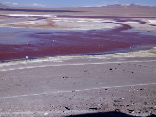 Zdj cia: Laguna Colorada 4300m.n.p.m., Reserva Nacional de Fauna Andina Eduardo Avaroa, CHILE I BOLIWIA - SAMOTNIE I INTENSYWNIE, BOLIWIA Zdj cia: Laguna Colorada 4300m.n.p.m., Reserva Nacional de Fauna Andina Eduardo Avaroa, CHILE I BOLIWIA - SAMOTNIE I INTENSYWNIE, BOLIWIA