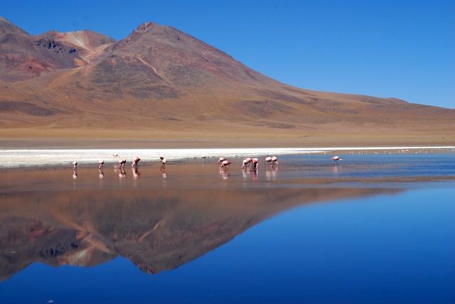 Zdjęcia: Laguna - nie pamiętam nazwy, Salar de Uyuni, Laguna 2 , BOLIWIA Zdjęcia: Laguna - nie pamiętam nazwy, Salar de Uyuni, Laguna 2 , BOLIWIA