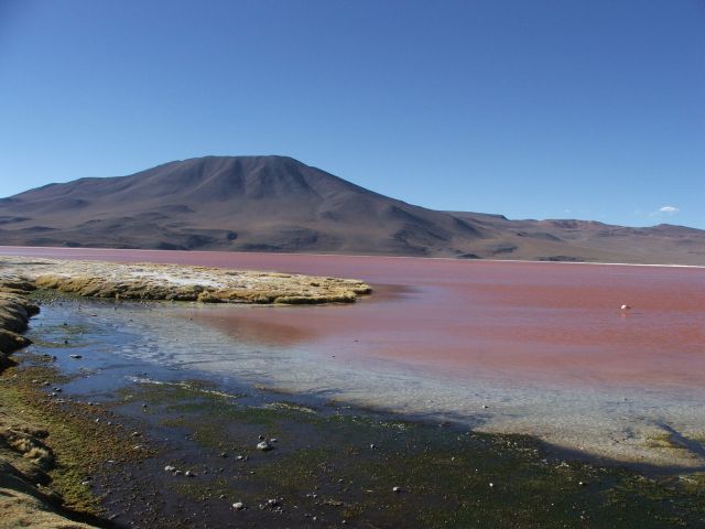Zdjęcia: Pustynia Atacama, Laguna Colorada, BOLIWIA Zdjęcia: Pustynia Atacama, Laguna Colorada, BOLIWIA