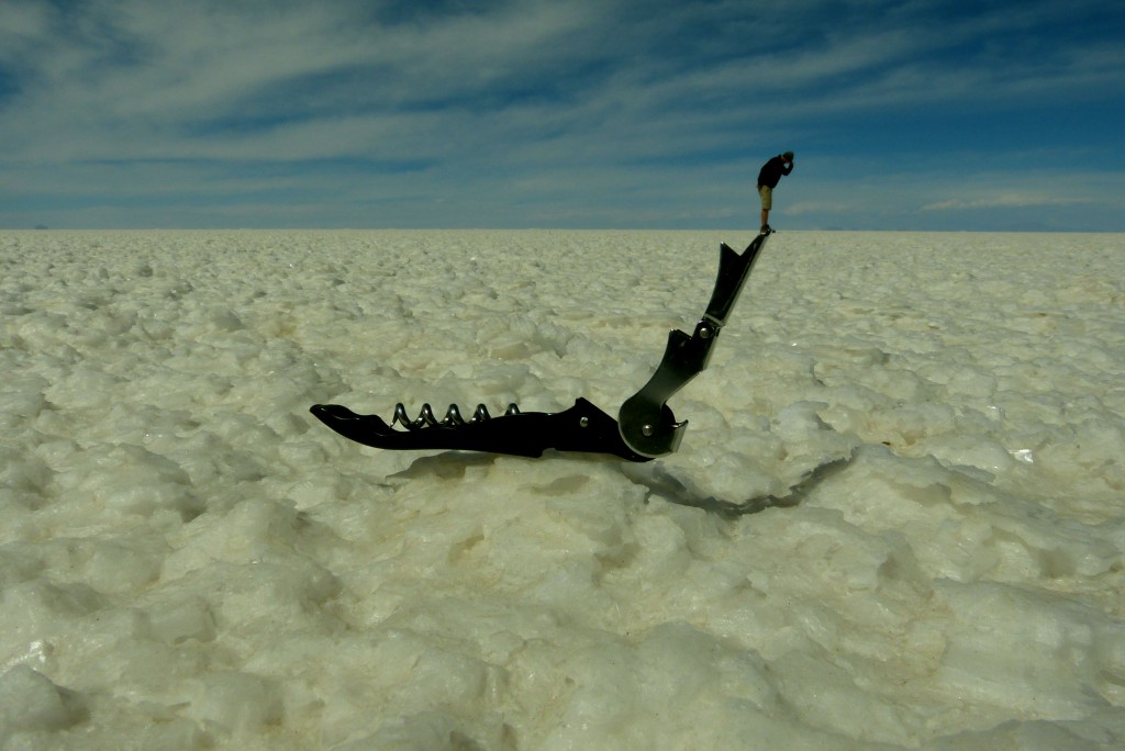 Zdjęcia: Salar de Uyuni, Poludniowo zachodnia Boliwa, Na krawędzi, BOLIWIA Zdjęcia: Salar de Uyuni, Poludniowo zachodnia Boliwa, Na krawędzi, BOLIWIA