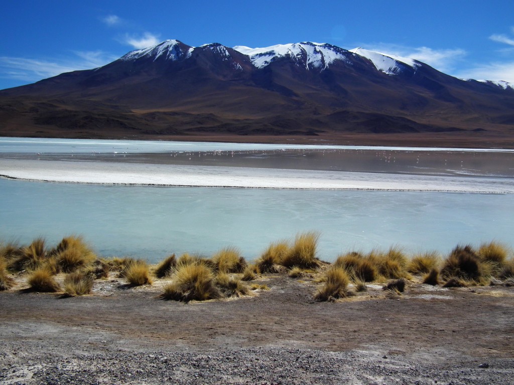 Zdjęcia: Altiplano, Altiplano, Laguna Hedionda, BOLIWIA Zdjęcia: Altiplano, Altiplano, Laguna Hedionda, BOLIWIA