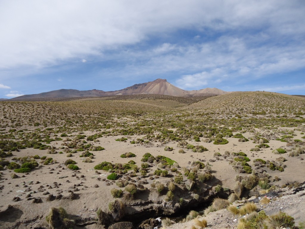 Zdjęcia: Paso Chungará-Tambo Quemado, Oruro, Boliwijskie krajobrazy, BOLIWIA Zdjęcia: Paso Chungará-Tambo Quemado, Oruro, Boliwijskie krajobrazy, BOLIWIA