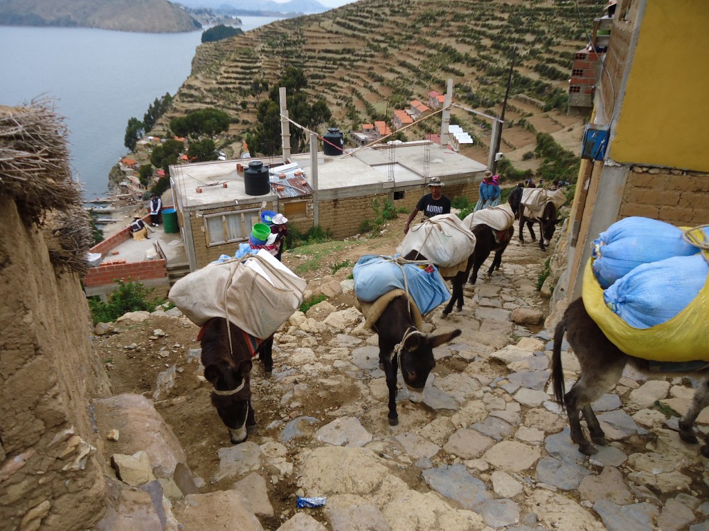 Zdjęcia: Isla del Sol, La Paz, Transport lokalny, BOLIWIA Zdjęcia: Isla del Sol, La Paz, Transport lokalny, BOLIWIA