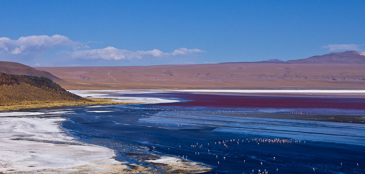 Zdjęcia: /, Altiplano, Laguna Colorada, BOLIWIA Zdjęcia: /, Altiplano, Laguna Colorada, BOLIWIA