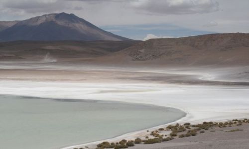 Zdjecie BOLIWIA / Aliplano / okolice Uyuni / Laguna Biaa