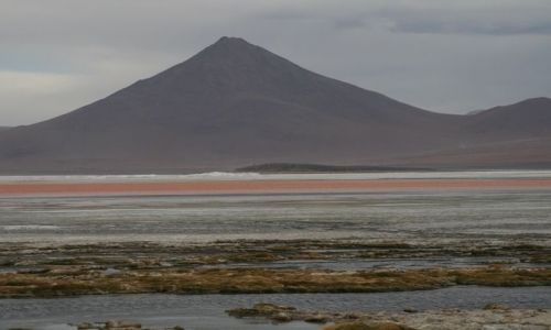 Zdjęcie BOLIWIA / Potosi / Altiplano / Laguna Colorado i Licancabur