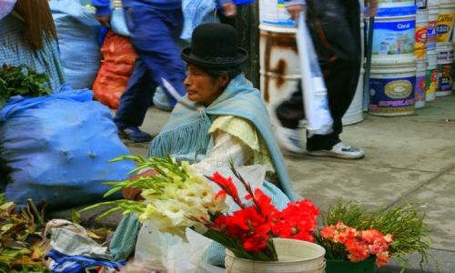 Zdjęcie BOLIWIA / Jezioro  Titikaka / Jezioro  Titikaka / Kwiaciarka