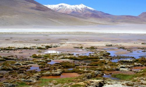 Zdjecie BOLIWIA / - / Salar de Uyuni / Uroki Salarw II