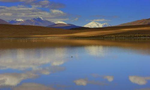 Zdjecie BOLIWIA / Laguna  Cafiupa / Laguna  Cafiupa / Laguna
