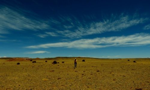 Zdjęcie BOLIWIA / Poludniowo zachodnia Boliwa / Boliwijska pampa /  Pustka