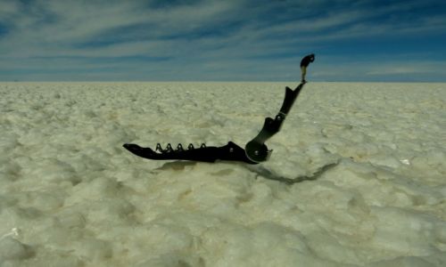 Zdjecie BOLIWIA / Poludniowo zachodnia Boliwa / Salar de Uyuni / Na krawdzi